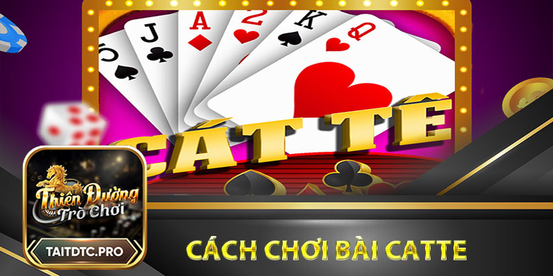 Cách chơi bài Catte dễ dàng dành cho người mới bắt đầu