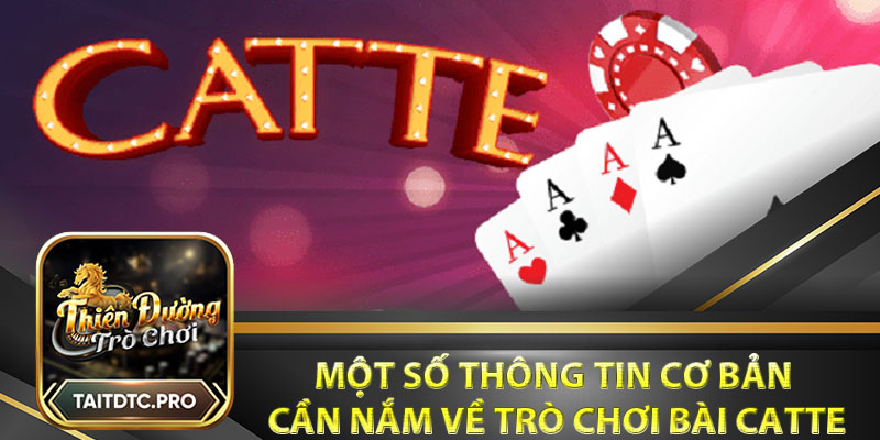 Một số thông tin cơ bản cần nắm về trò chơi bài Catte